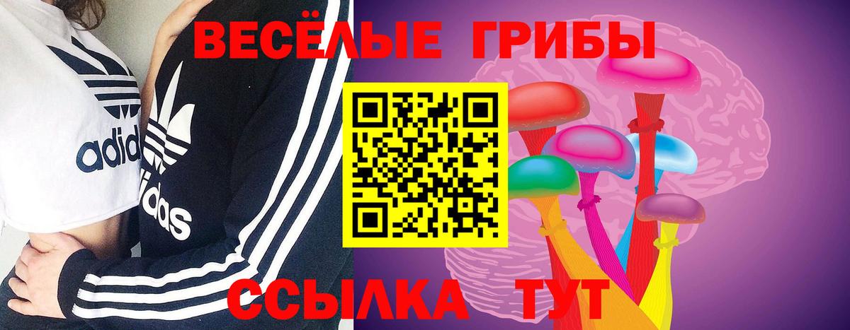 Галлюциногенные грибы прущие грибы  Вход с VPN  Коркино 